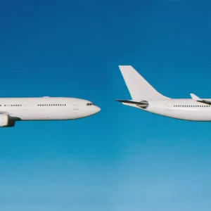 art dog. .2017. .lebedinyj.zamok cover