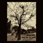 Brudywr — 2022 — Waste Not Thy Apathy (2022)