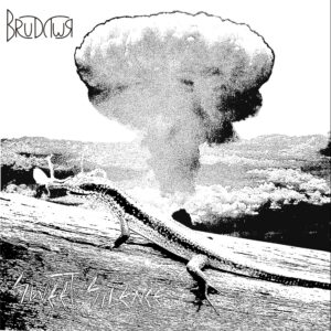 brudywr. .2011. .sweet .silence cover