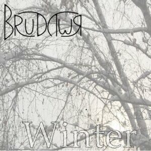 brudywr. .2011. .winter cover