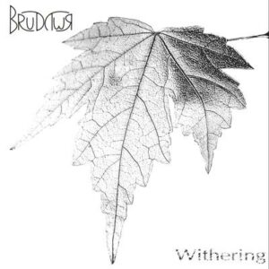 brudywr. .2011. .withering cover