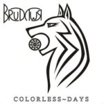Brudywr — Colorless Days (2010)