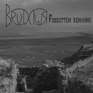 brudywr. .2013. .forgotten.remains cover