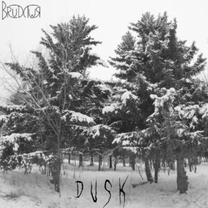 brudywr. .2014 cover