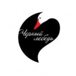 Чёрный лебедь — Чёрный лебедь (2011)