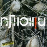 Плющи — Плющи (2005)