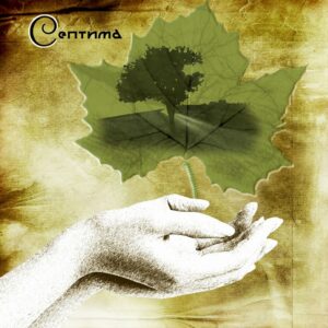 septima. .2013. .doroga cover