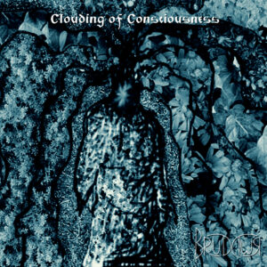 brudywr. .2020. .clouding.of .consciousness cover