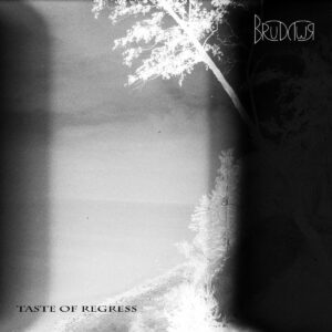 brudywr. .2024. .taste .of .regress cover