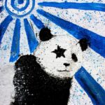 blue.panda logo 1581587586