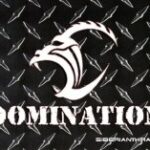 domination logo 1581587579