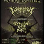 Insane Horror of big brother