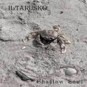iltarusko. .2016. .shallow.soul cover