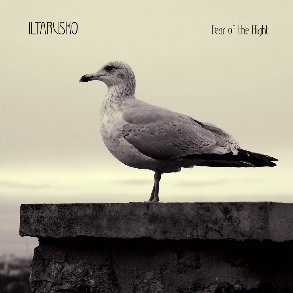 iltarusko. .2018. .fear .of .the .flight cover