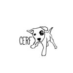 cerf logo 204536485 457239070