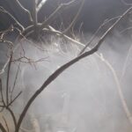 Ночной посетитель — Морские ветры (2018)