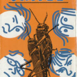 Skage — НеАбычные дела (2002)