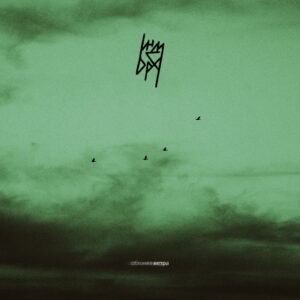 indibra. .2025. .obgonjaja.vetra .single cover