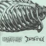 VA — Agathocles / Вегатив (2009)