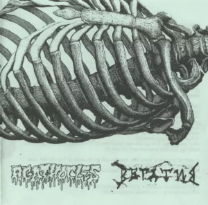 2009. .agathocles vegativ cover