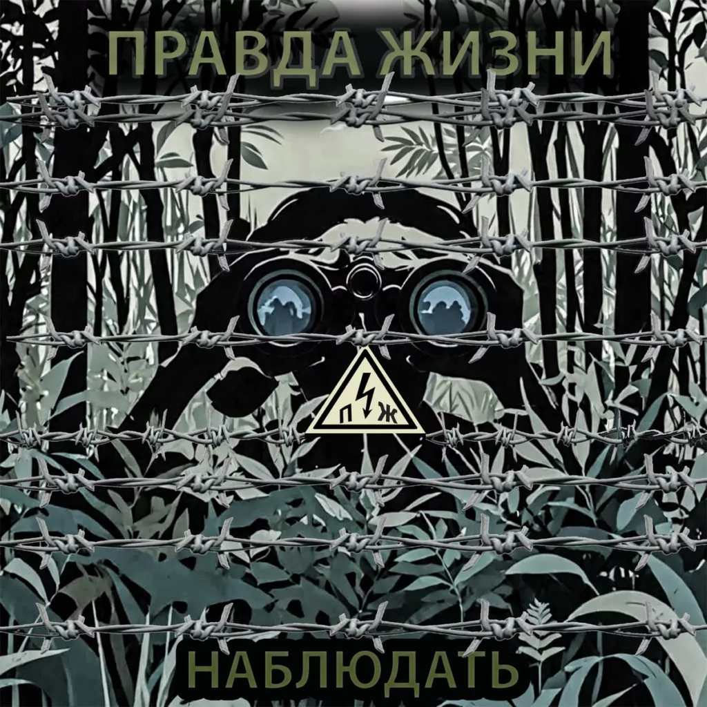 pravda.zhizni. .2025. .nablyudat cover