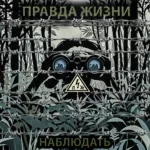 Правда жизни — Наблюдать (2025)