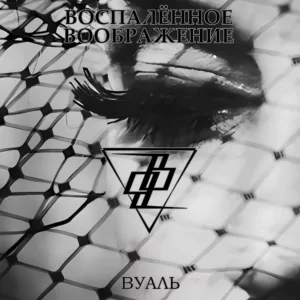 vospalyonnoe.voobrazhenie. .2023. .vual cover