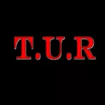The Ungoo Rain — T.U.R. (2009)