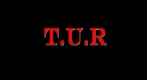 the.ungoo .rain . .2009. .t.u.r cover