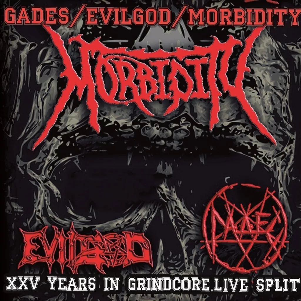 va. .2021. .xxv .years .in .grindcore.live .split cover