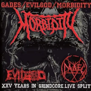va. .2021. .xxv .years .in .grindcore.live .split cover