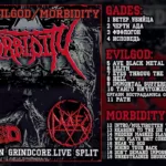 VA.-.2021.-.XXV.Years.In.Grindcore..Live.Split-cover_0