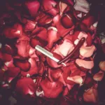 The.OtherSight.-.2024.-.Lullaby-cover