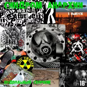 va. .2015. .sindrom.anarhii cover