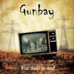 Gunbay — What should be done? (2014)