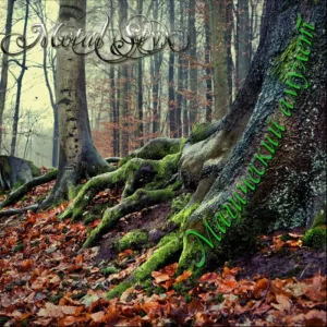 metal.styx . .2012. .magicheskij.amulet cover