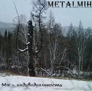 metalmih. .2010. .my . .individualnosti cover