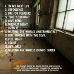 Soulway.-.2016.-.Pay.For.Pleasure-cover_0