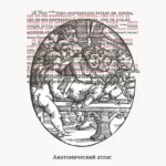 Воронмрак — Анатомический атлас (2016)