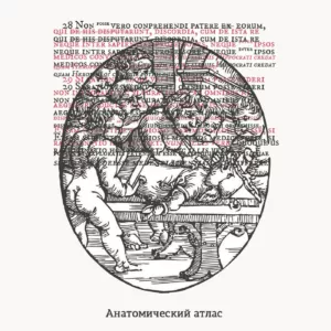 va. .2016. .anatomicheskij.atlas cover