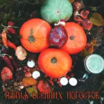 VA.-.2016.-.Plamya.osennih.pogostov.-.01.-.Vedminy.kolca.v.poslednem.plameni.ryabin