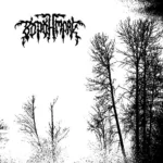 Воронмрак — Тени лунного света (2005)