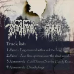 Voronmrak.-.2015.-.Oseni.sled.v.otrazhenii.myortvyh.vod-cover_0