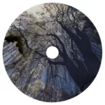 Voronmrak.-.2015.-.Oseni.sled.v.otrazhenii.myortvyh.vod-cover_1