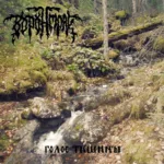 Воронмрак — Голос тишины (2021)