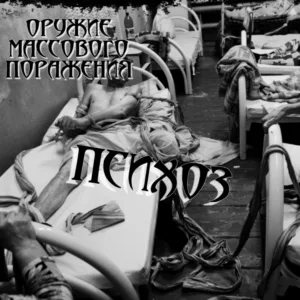 oruzhie.massovogo.porazheniya. .2001. .psihoz cover