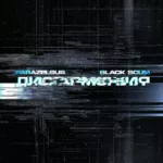 Parazelsus.-.2024.-.Disgarmoniya-cover