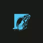 The Kobra — Дотла (2023)