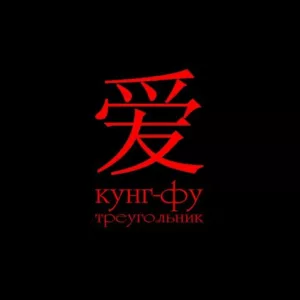treugolnik. .2008. .kung fu cover