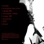 Treugolnik.-.2008.-.Kung-fu-cover_0